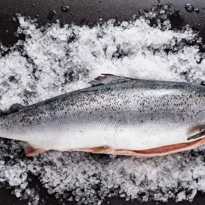 Whole Salmon (3-4kg)