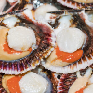 Scallops in Shell