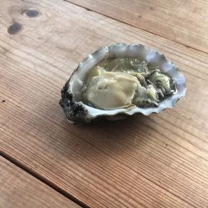 Oysters Colchester