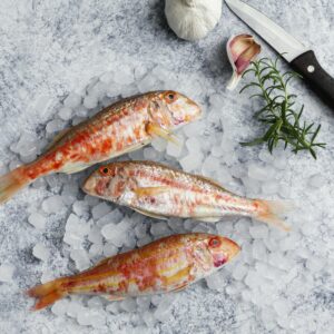 Red Mullet