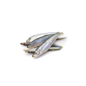 Whitebait