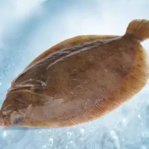 Whole Lemon Sole (600-800g)