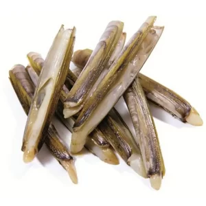 Live Razor Clams