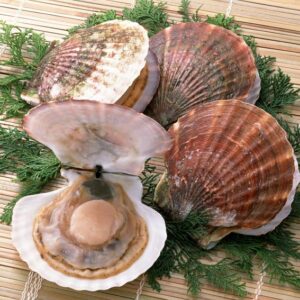 Diver Caught Scallops